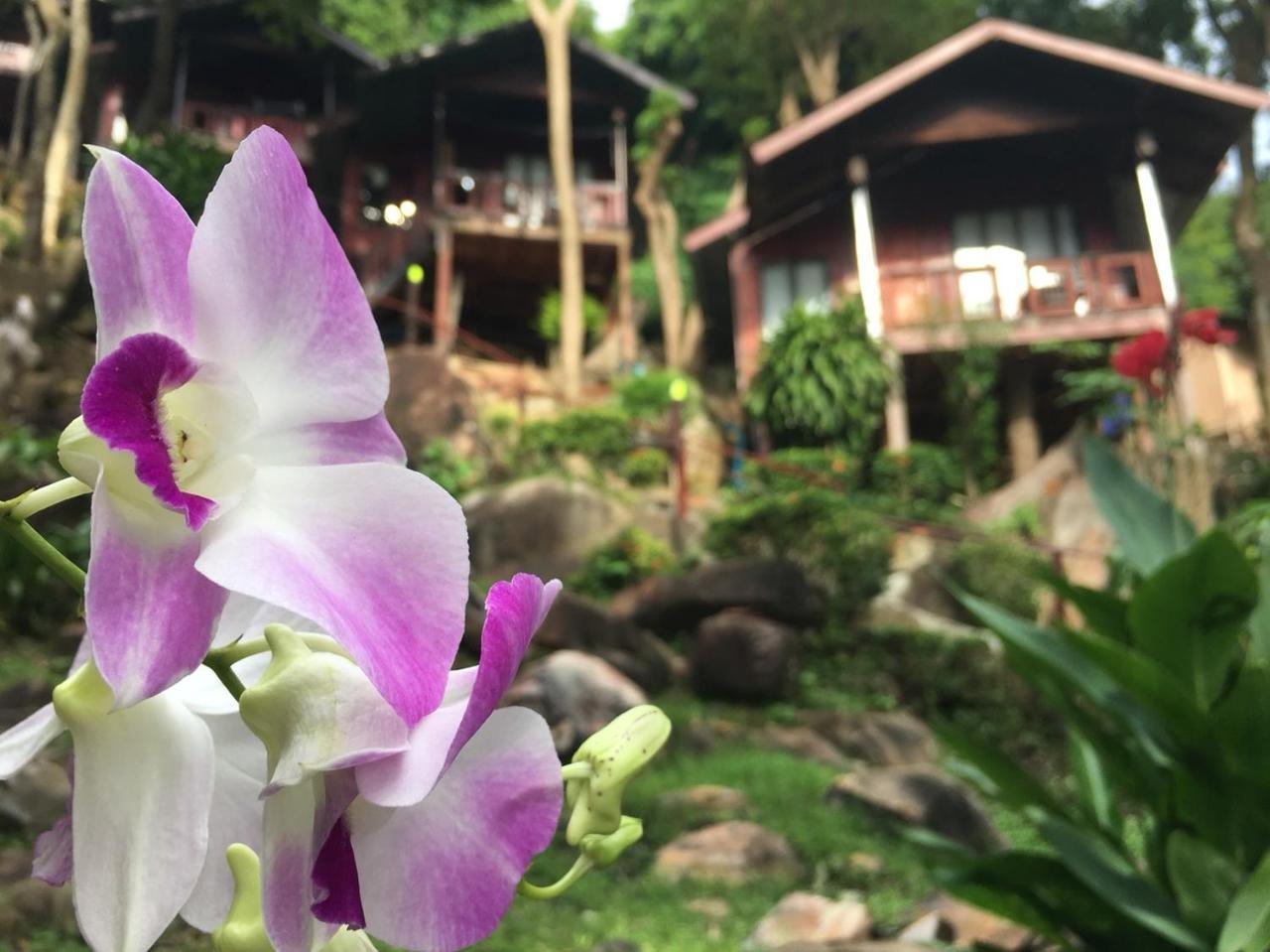 Phi Phi Green Hill Resort Buitenkant foto